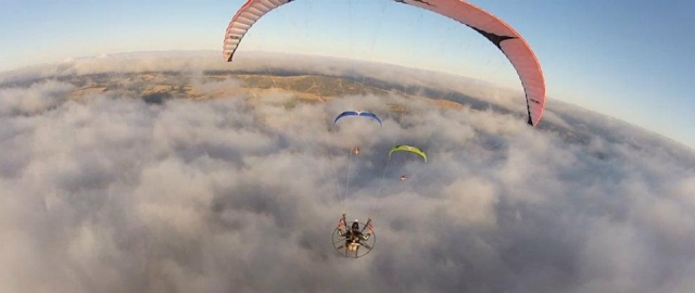 Collective flights